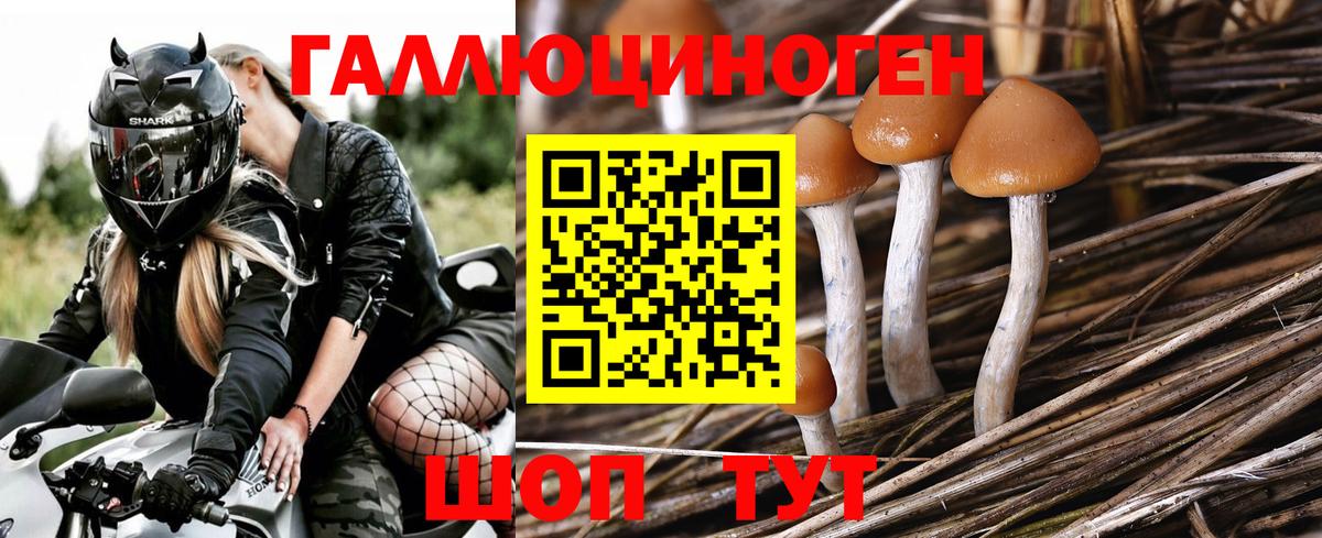 Галлюциногенные грибы GOLDEN TEACHER  Вход с VPN  Орск  Галлюциногенные грибы ЛСД 