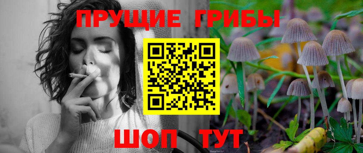 МЕФ Орск